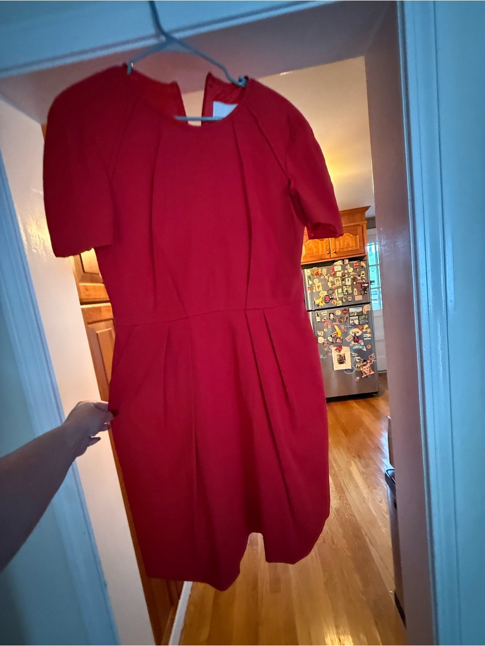 Ginger & Smart Red Short-Sleeve Pleated Mini Dress